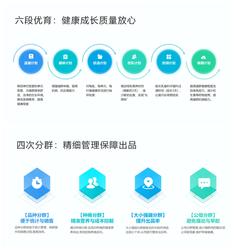 四次分群、六段优育