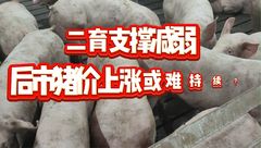 2月21日生猪价格：二育支撑不足，市场需求偏弱，猪价难以上涨