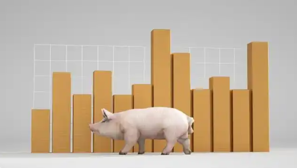 仔猪价格暴跌近百元！官方预警：2025年上半年猪价或将触底