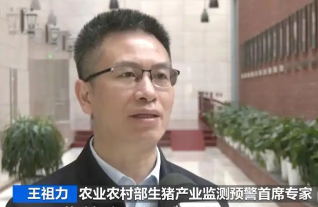 猪价连续两周下降，后市的行情如何？农业农村部专家解读→