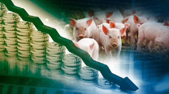 2月22日15公斤仔猪价格：猪价涨势撑不住，仔猪价格大跌145元/头