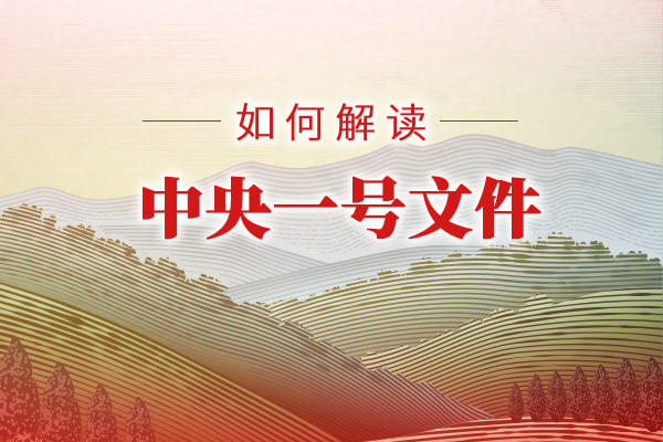中央一号文件