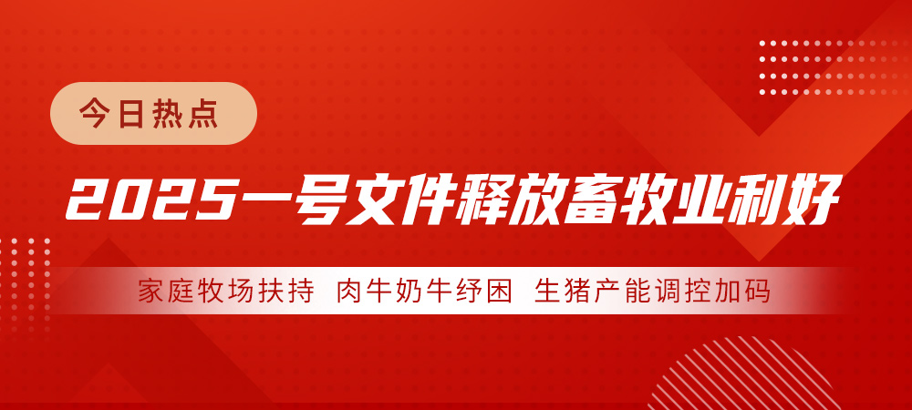 2025一号文件释放畜牧业利好：家庭牧场扶持、肉牛奶牛纾困、生猪产能调控加码