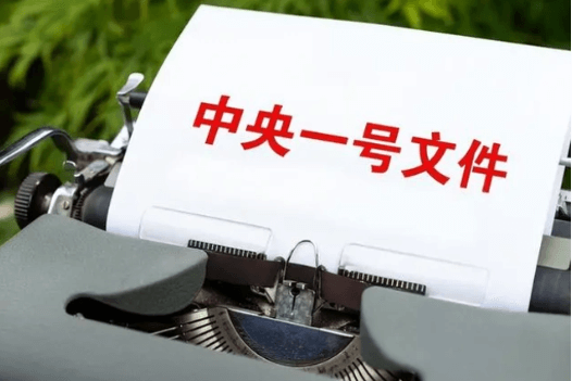 中央一号文件：聚焦生猪产能监测和调控，强化屠宰检疫监管