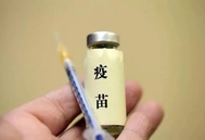 猪伪狂犬疫苗效果大比拼：变异株 vs 经典株，谁更胜一筹？