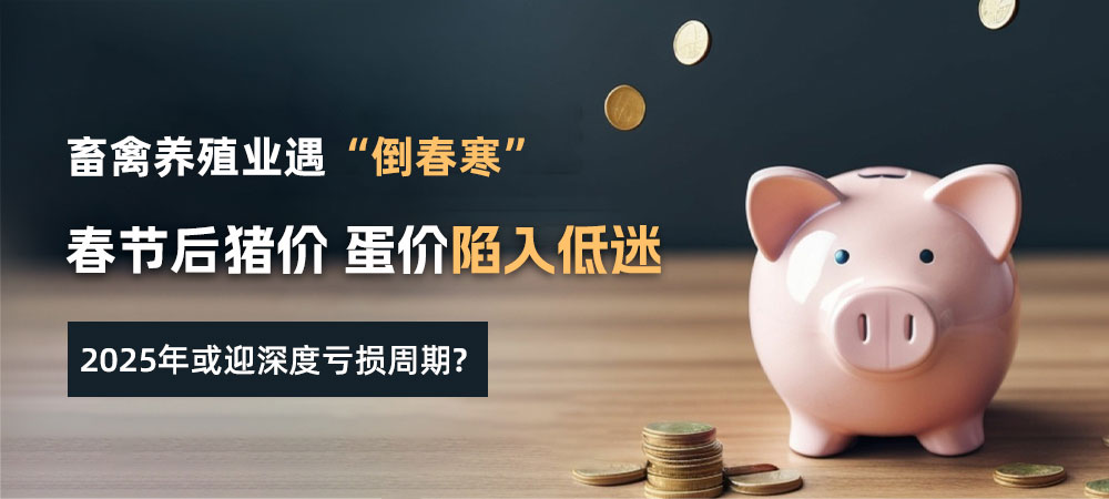 春节后畜禽养殖业遇“倒春寒”：猪价、蛋价低迷，2025年或迎深度亏损周期