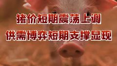 3月2日生猪价格：猪价反弹昙花一现？供需博弈加剧后市不确定性