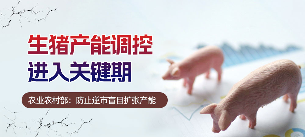 生猪产能调控进入关键期！农业农村部：防止逆市盲目扩张产能
