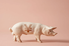 中国对加拿大猪肉加征25%关税，猪价或将上涨，北方仔猪迎来爆发式增长