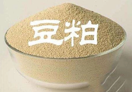 2025年3月10日全国各省市豆粕价格行情，多地豆粕价格震荡下跌，后市还能涨起来吗？