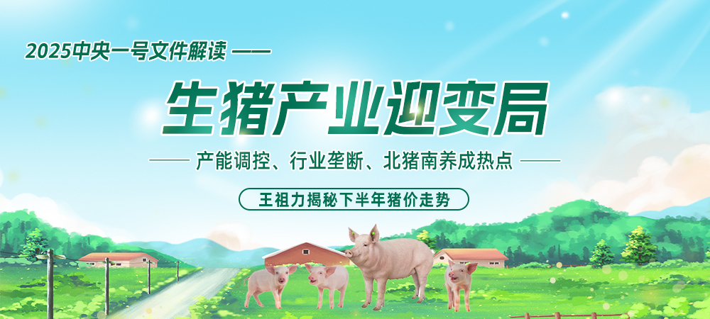2025中央一号文件解读：生猪产业迎变局，产能调控、行业垄断、北猪南养成热点，王祖力揭秘下半年猪价走势