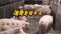 3月11日生猪价格：涨涨跌跌，消费端缺乏利好提振‌，短期内猪价将震荡下行为主？