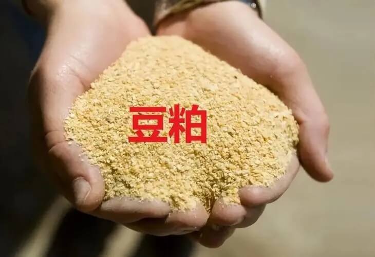 2025年3月12日全国各省市豆粕价格行情，油厂存在断豆停机，为豆粕价格提供良好支撑？