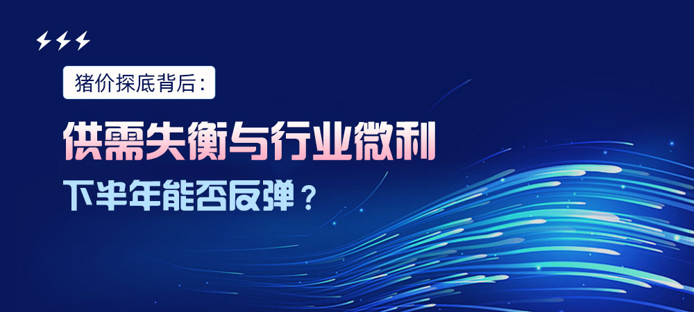 猪价探底背后：供需失衡与行业微利，下半年能否反弹？