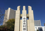 规范兽药使用，保障猪肉安全：2025年专项整治方案解读