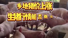 3月20日生猪价格：“僵持”难破，价格以横盘调整为主！