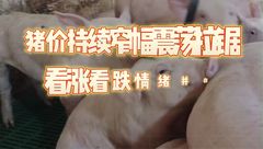3月25日生猪价格：多地下跌！市场对于猪价前景较为谨慎，行情整体大稳小跌