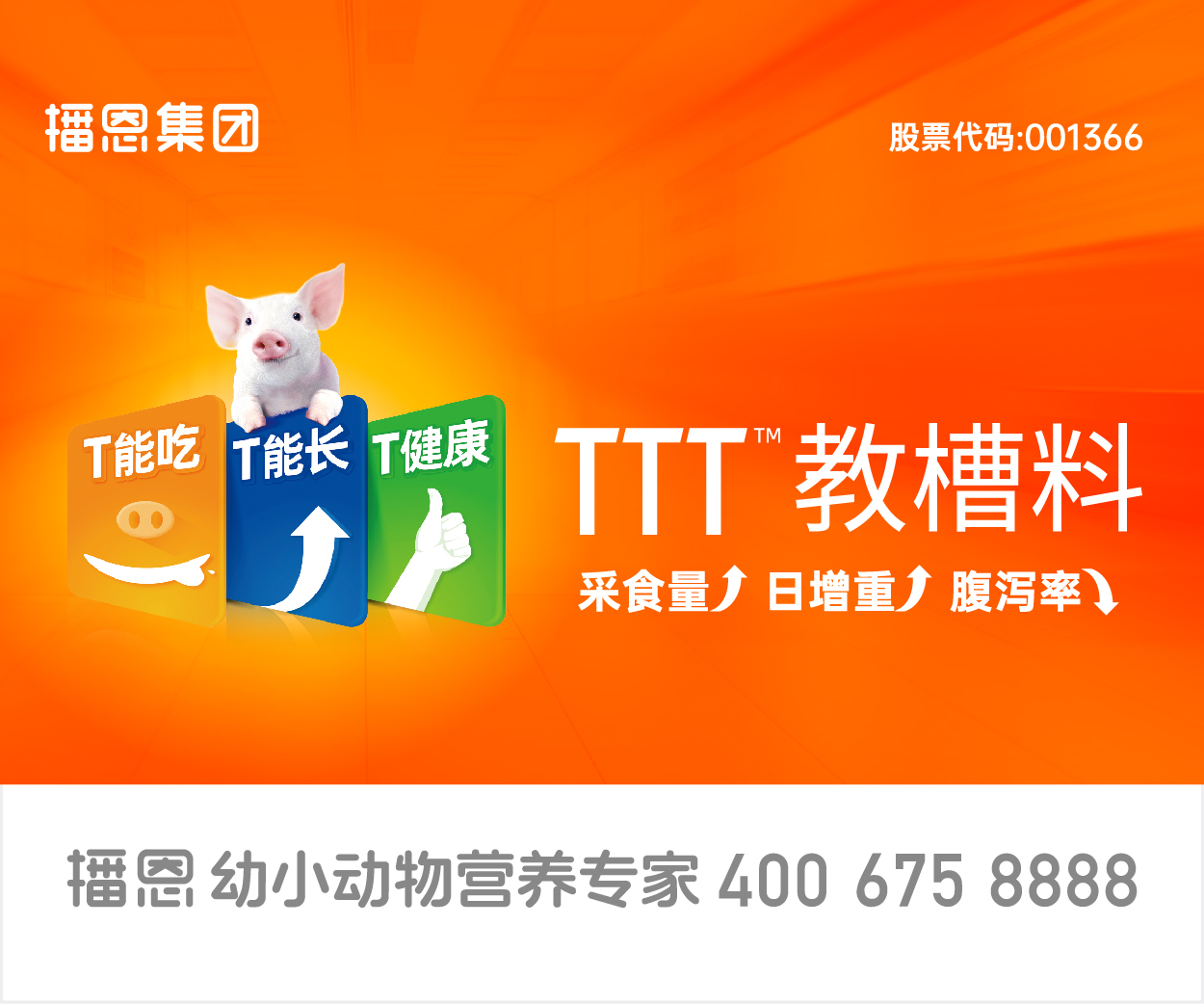 播恩