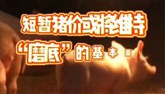 3月26日生猪价格：再次探底，低价行情已持续两个月，何时迎来反弹？