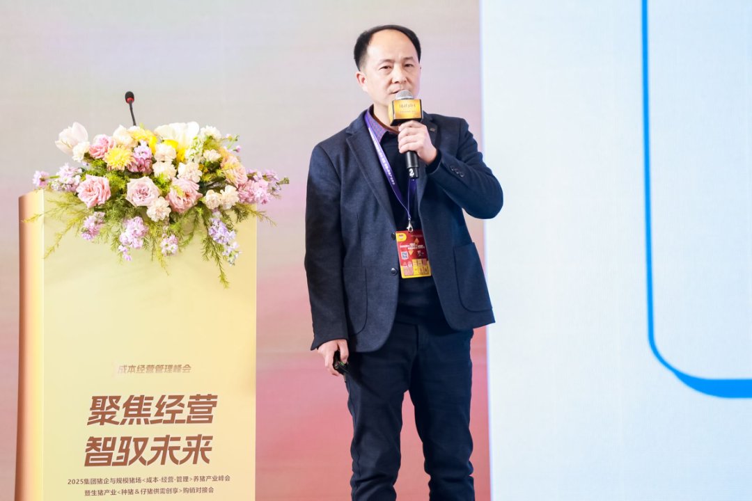 华传仙