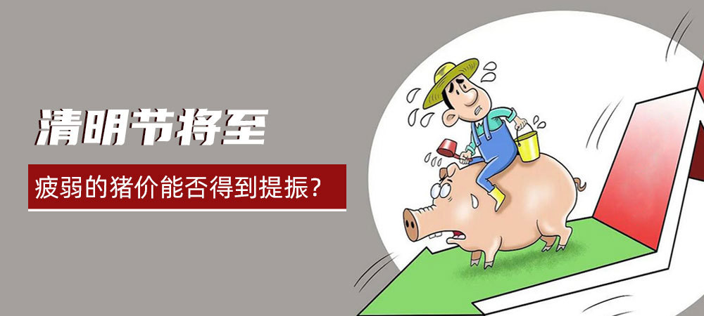清明节将至，猪价短期内仍能将在低位运行？