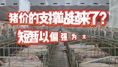 4月1日生猪价格：消费端购销能力加强，支撑显现，猪价将短期上涨