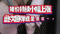 4月2日生猪价格：底部支撑转强，南北猪价携手上涨！