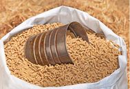 粉碎机“小秘密”，养猪省料大收益！