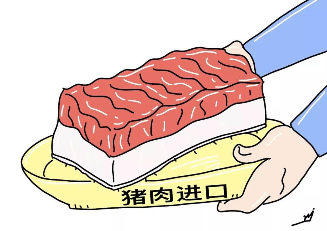 中美关税升级，对国内猪肉市场有何影响？