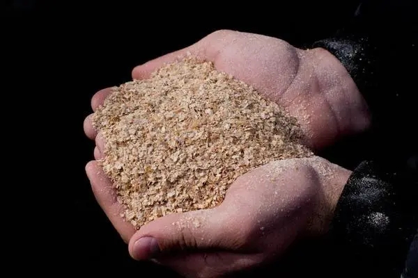 关税扰动下豆粕期货仍维持高位震荡