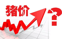 4月18日猪价：涨，涨，涨，猪价“插翅”上涨！