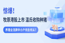 惊爆！牧原港股上市、温氏收购种猪，养猪业洗牌中小户何去何从？