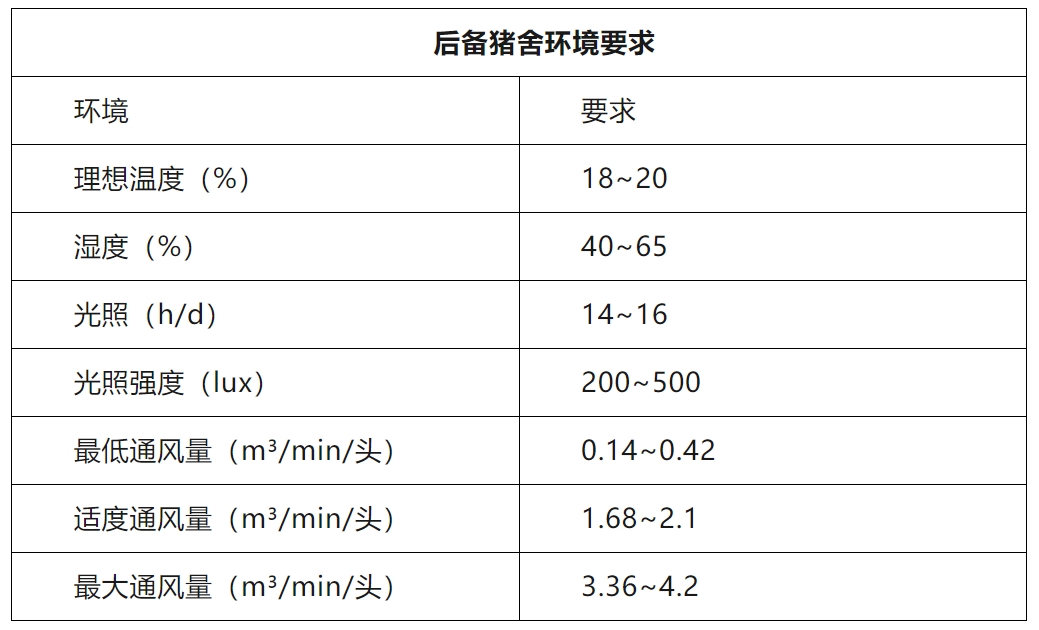 后备母猪管理要点分享，你还不学起来？