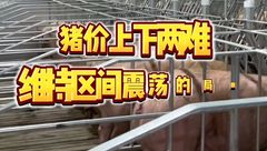 4月22日生猪价格：上下两难，短期内或将维持区间震荡的局面？