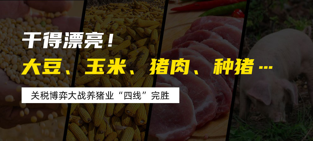 干得漂亮！大豆、玉米、猪肉、种猪…关税博弈大战养猪业“四线”完胜