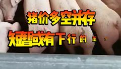 4月25日生猪价格：猪价多空并行，短暂或有下行压力！