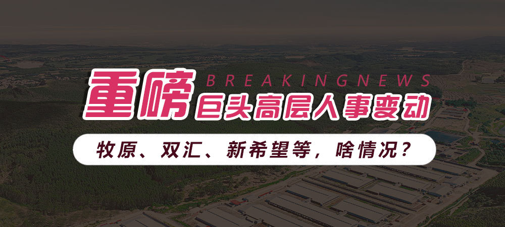 巨头高层人变动！牧原、双汇、新希望等，啥情况？