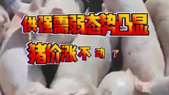 4月27日生猪价格：供强需弱态势凸显，猪价涨不动了？
