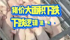4月28日生猪价格：大面积下跌，下跌逻辑是啥？