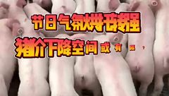 4月29日生猪价格：节日气氛烘托转强，猪价下降空间或有限？