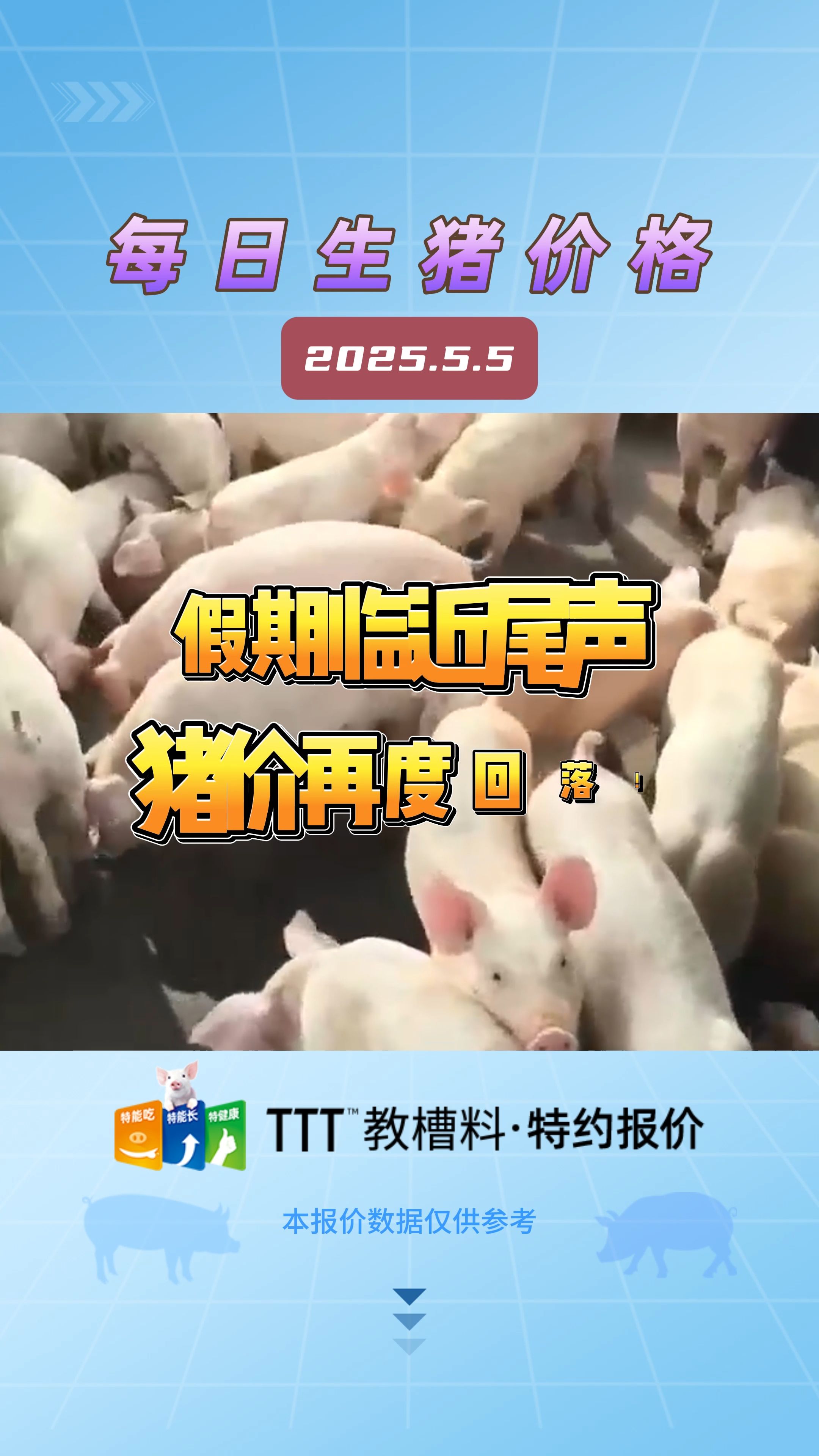 5月5日生猪价格：假期临近尾声，猪价短暂上涨后再度回落！