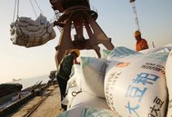 巴西豆粕出口稳增，玉米4月出口量价异动