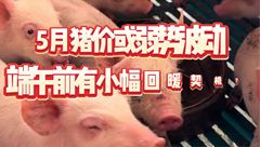 5月7日生猪价格：弱势波动！端午前有小幅回暖契机？