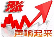 5月7日15公斤仔猪价格：猪价开涨！仔猪价格居高不下