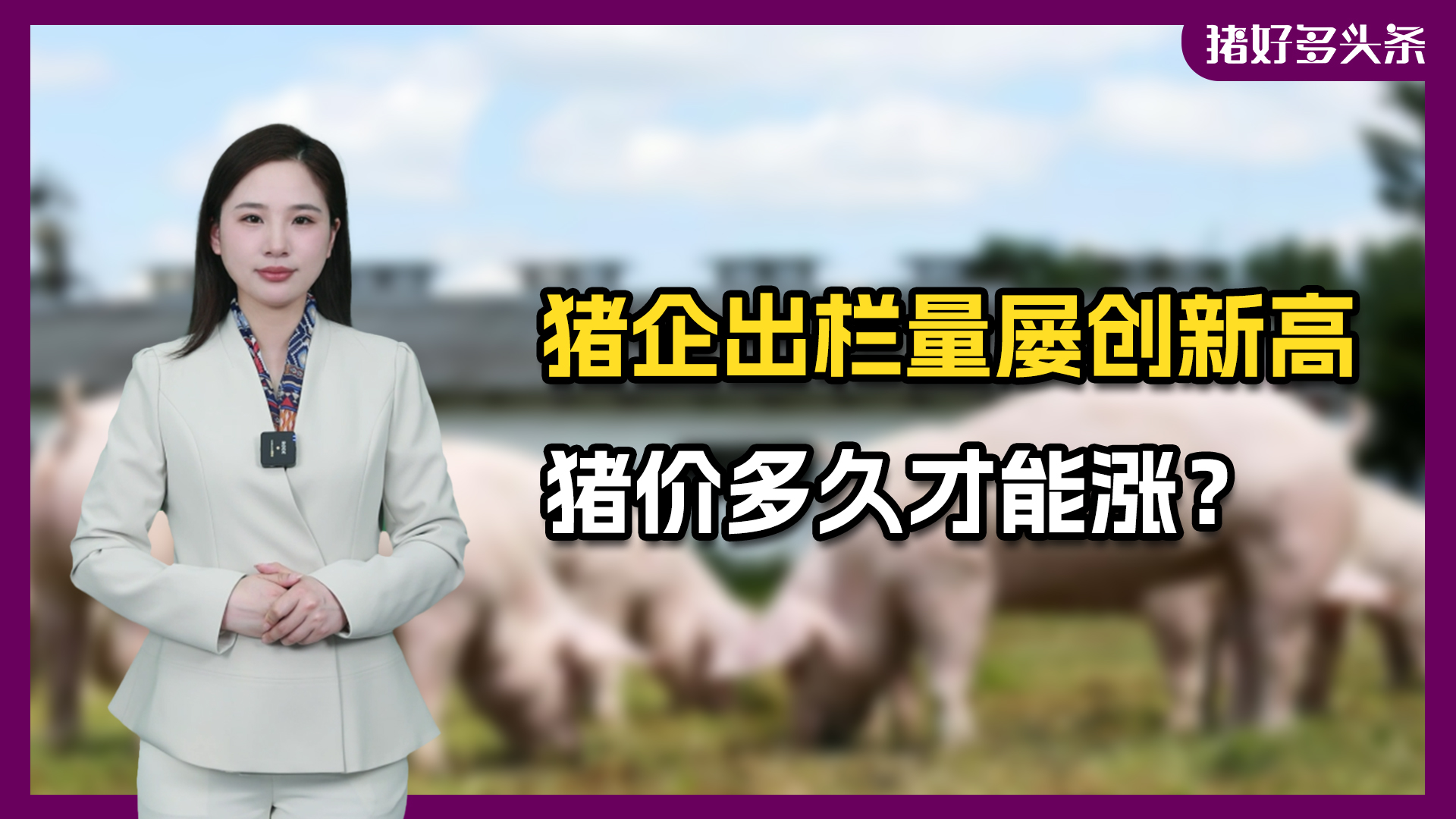狂飙！八大猪企4月出栏超1200万头！最高同比增长215%！