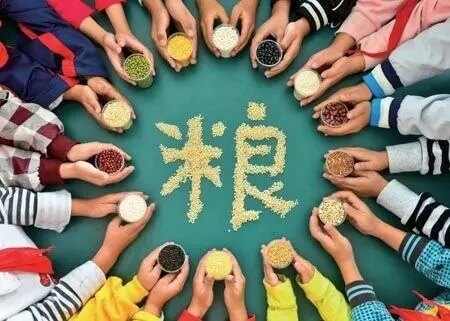 当关税战遇上粮食安全：中国用‘多元进口+自力更生’破局