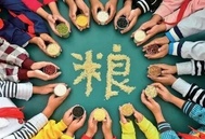 当关税战遇上粮食安全：中国用‘多元进口+自力更生’破局