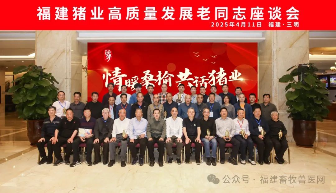 情暖桑榆•共话猪业！福建猪业高质量发展老同志座谈会在三明市成功召开