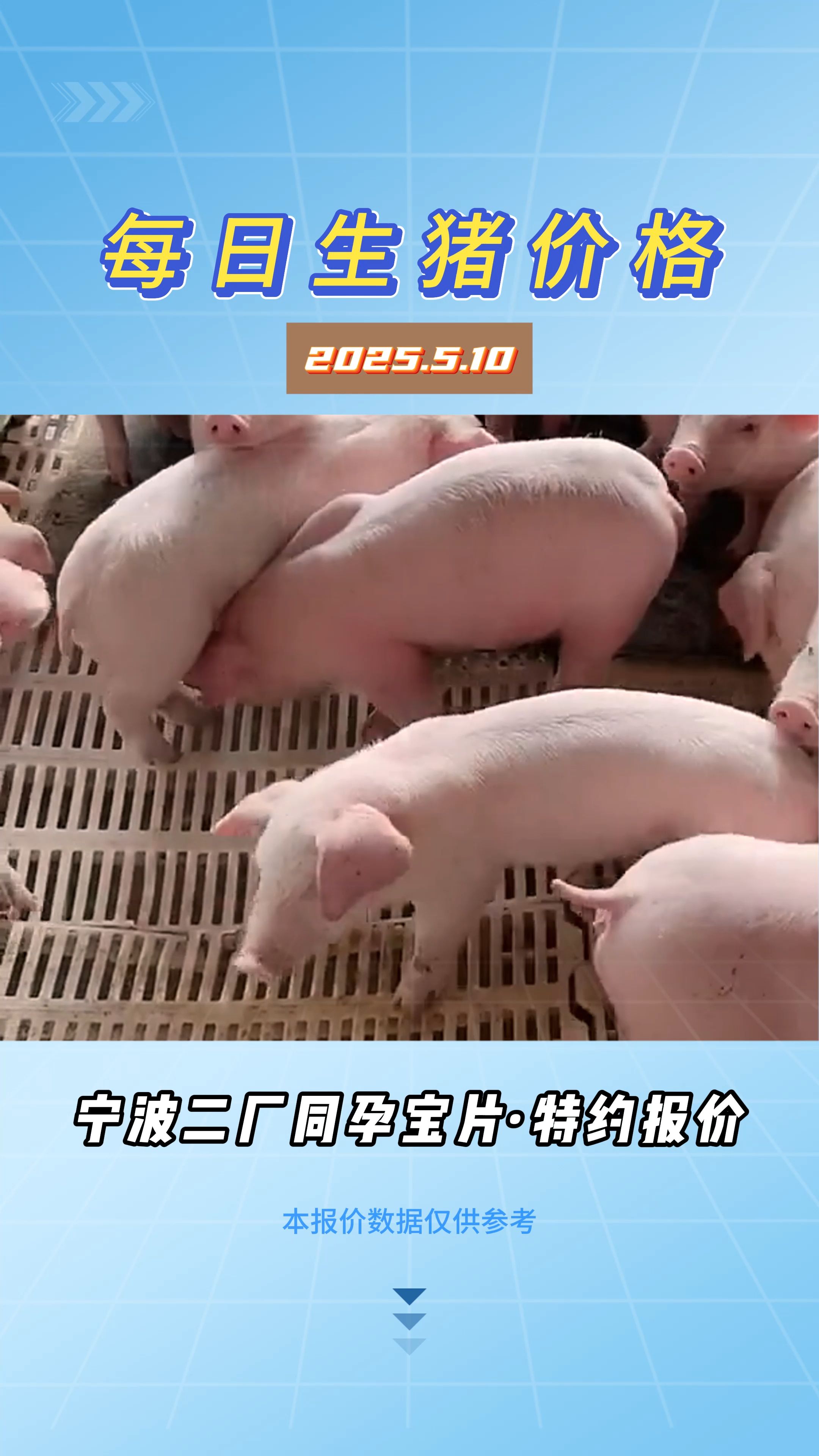 5月10日生猪价格：涨跌调整，大稳小动！南方猪价承压