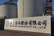 河南牧原携手西湖大学：合成生物技术破解大豆困局，护航粮食安全
